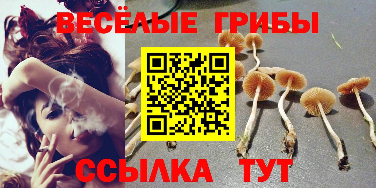 Галлюциногенные грибы ЛСД Стерлитамак