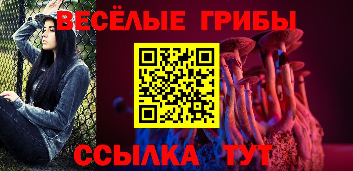 Псилоцибиновые грибы GOLDEN TEACHER  Вход с VPN  Галлюциногенные грибы Cubensis  Стерлитамак 